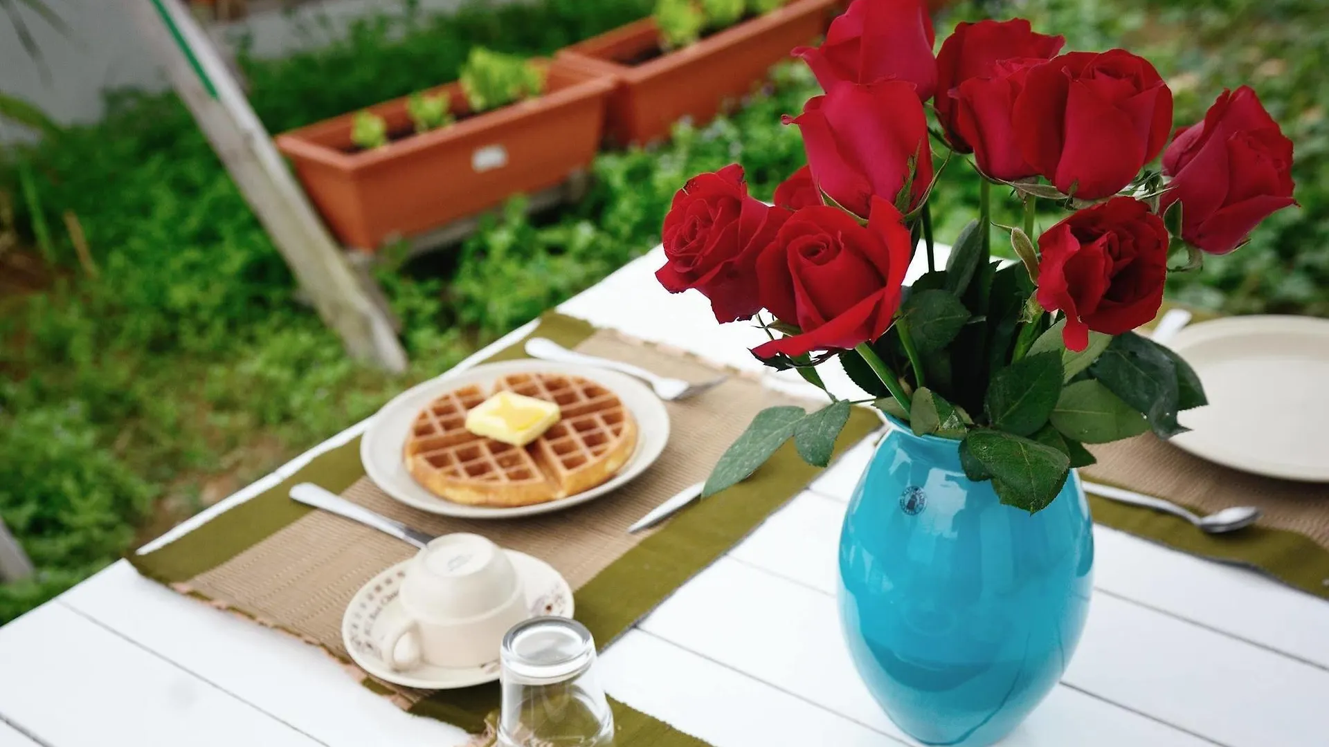 Eco Bed And Breakfast location